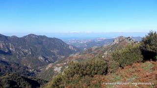nte Scuderi-23-11-2014 09-47-34